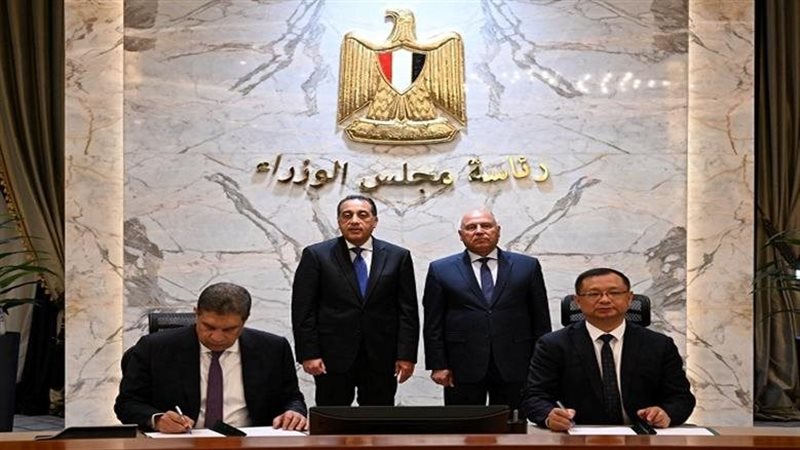 القارئ نيوز