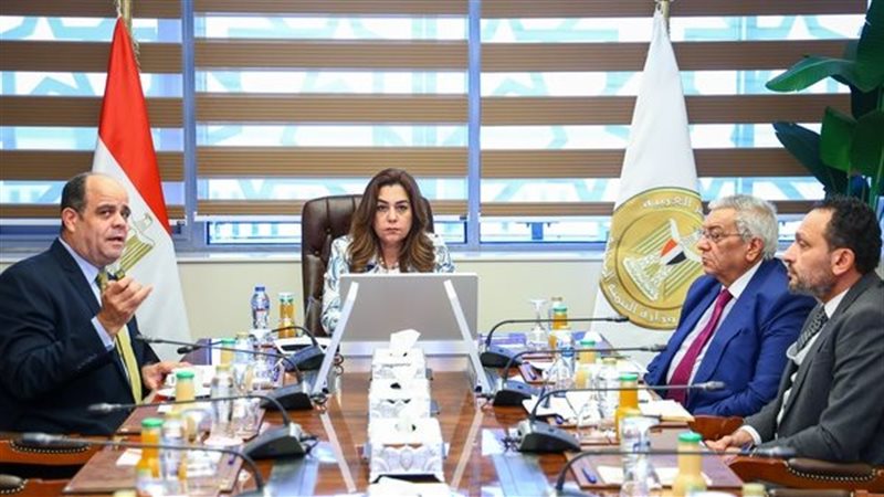 القارئ نيوز