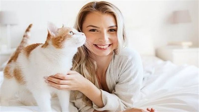 أمراض القطط