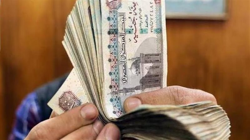 زيادة المعاشات
