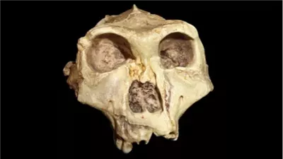 بعد مليوني عام في كهف..أسنان قديمة تكشف أسرارا مدهشة عن البشر الأوائل