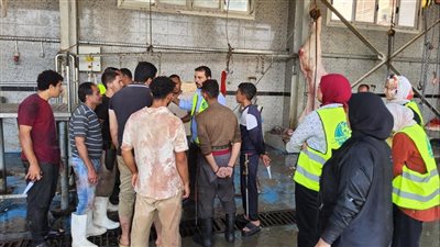 بالتعاون مع الجهات البيئية والصحية.. «مياه القليوبية» تطلق حملات توعية داخل المجازر