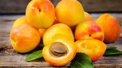 «يعزز المناعة ويحارب الأنيميا».. اكتشف فوائد المشمش المذهلة للصحة والجسم