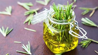 طريقة استخدام زيت إكليل الجبل لتقوية الشعر وزيادة طوله بسرعة