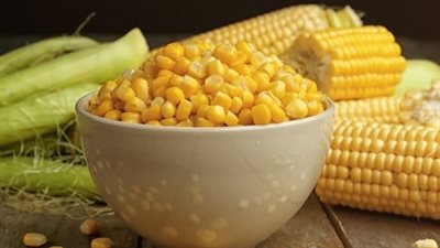 الذرة الصفراء وصحة الجهاز الهضمي.. علاقة أقوى مما تتخيل