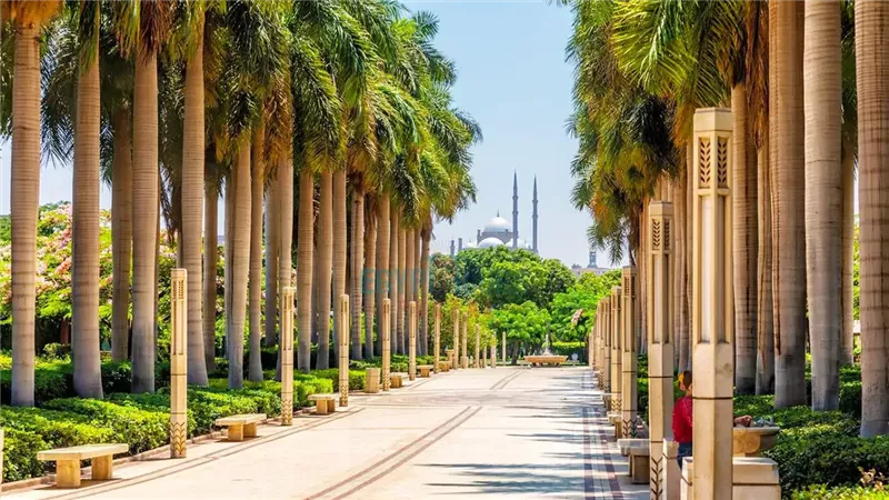 العيد فى القاهرة