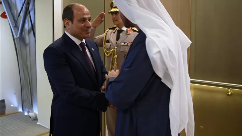 القارئ نيوز