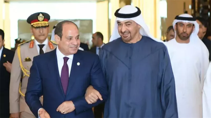 القارئ نيوز