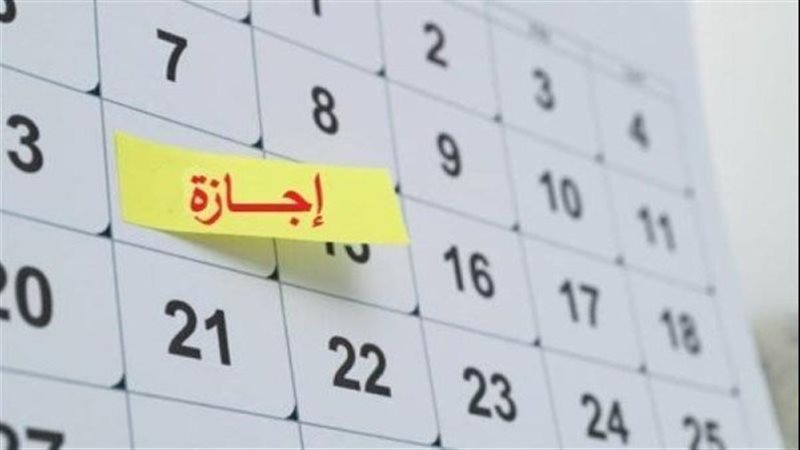 القارئ نيوز