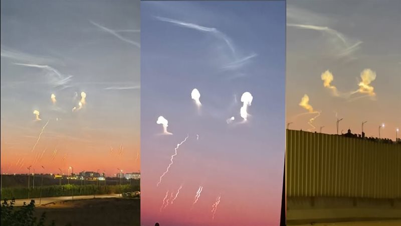 القارئ نيوز