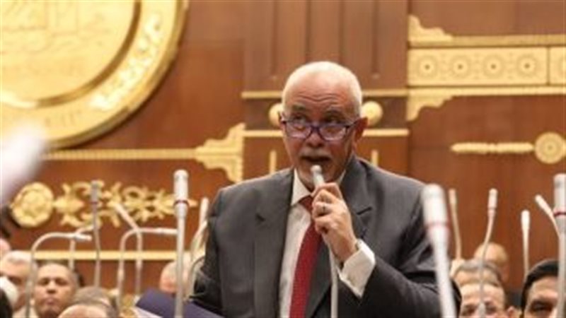 النائب المهندس حازم
