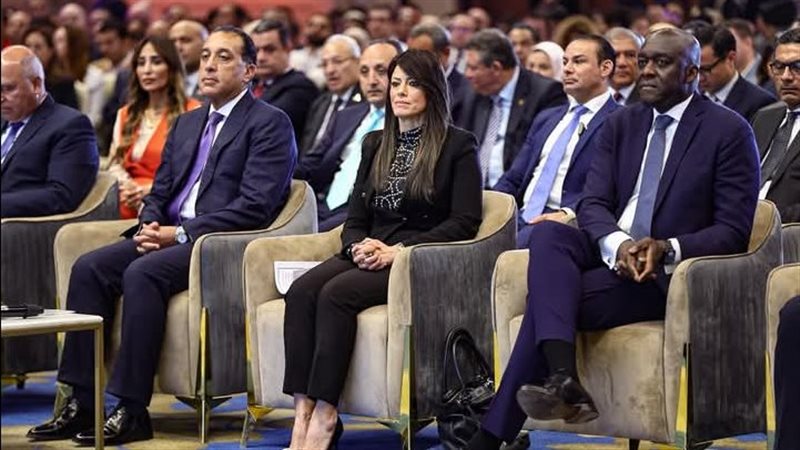 القارئ نيوز