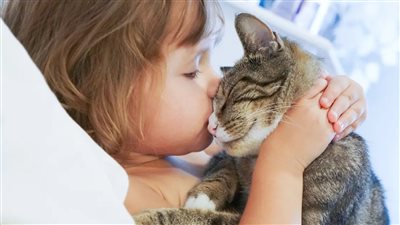 «القطط ليست دائمًا آمنة».. عدوى مميتة تنتقل منها وتصيب أصحاب المناعة الضعيفة