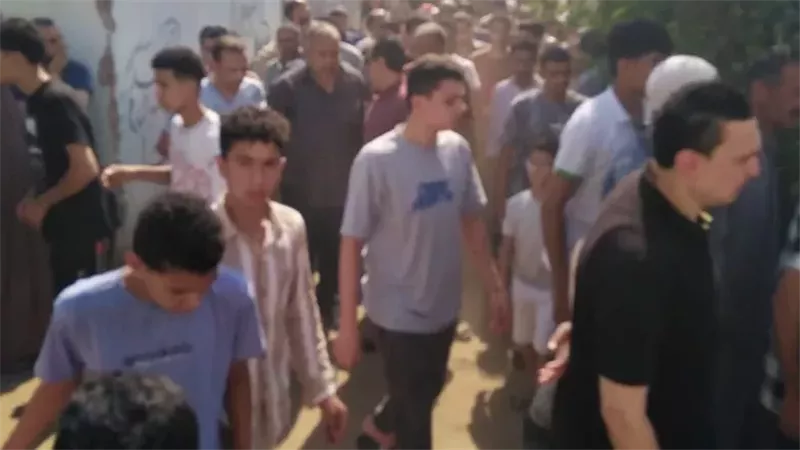 القارئ نيوز