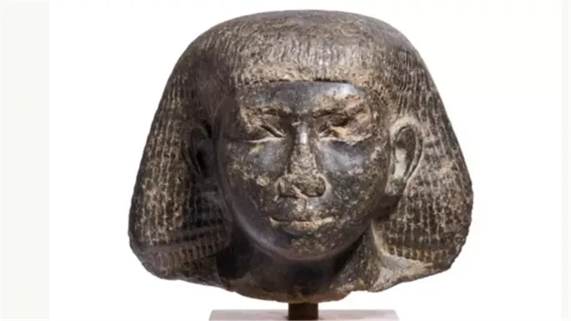 القارئ نيوز