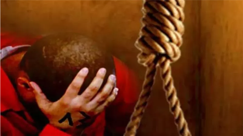 القارئ نيوز