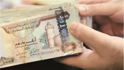 استقرار سعر الدرهم الإماراتي أمام الجنيه في البنوك المصرية اليوم الخميس