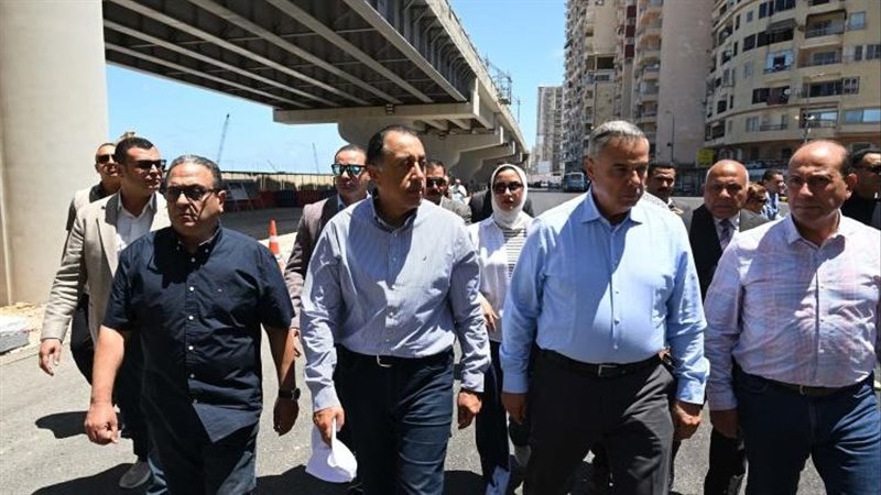 القارئ نيوز