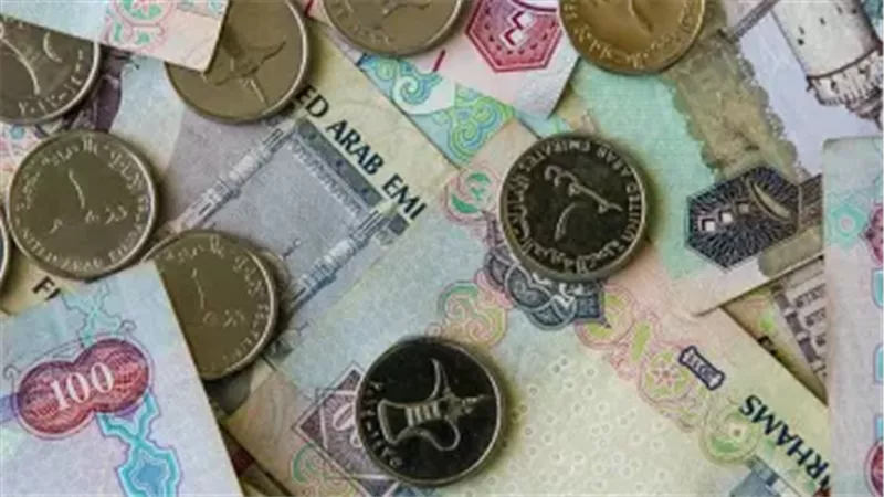 الدرهم الإماراتي