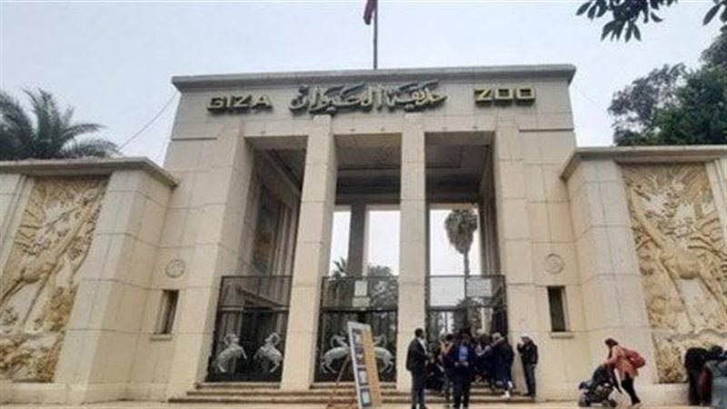 حديقة الحيوان بالجيزة