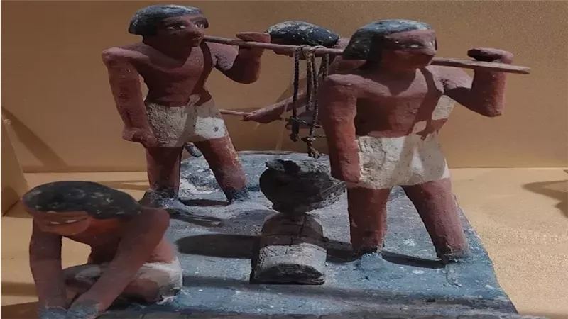 القارئ نيوز