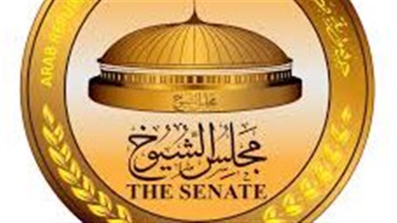 القارئ نيوز