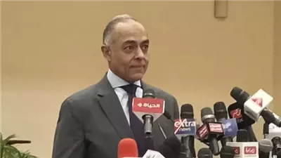 الهيئة الوطنية.. باركود على كارنيهات 25 ألف متابع لانتخابات مجلس الشيوخ