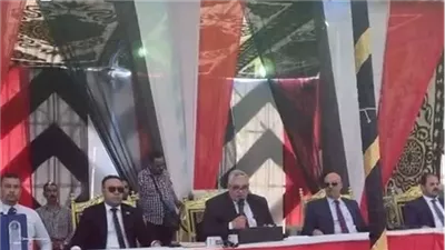 نتائج أولية لانتخابات مجلس الشيوخ بالقليوبية.. القائمة الوطنية تتصدر