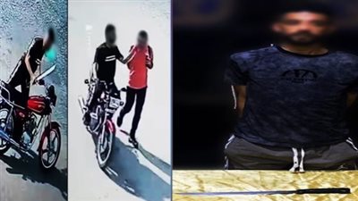 أمين الفتوى.. «الإبلاغ عن الجرائم» حفاظ على الأمن وليس انتهاكا للستر