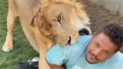 غضب واسع في ليبيا بعد مقطع أسد يهاجم عامل مصري داخل مزرعة