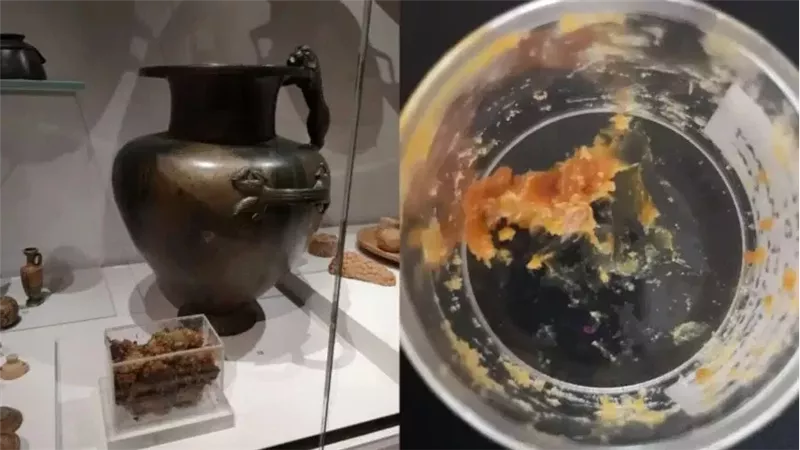 القارئ نيوز