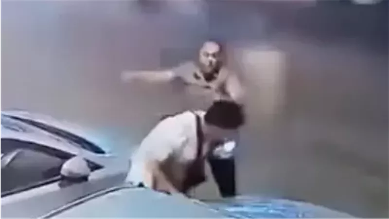 القارئ نيوز
