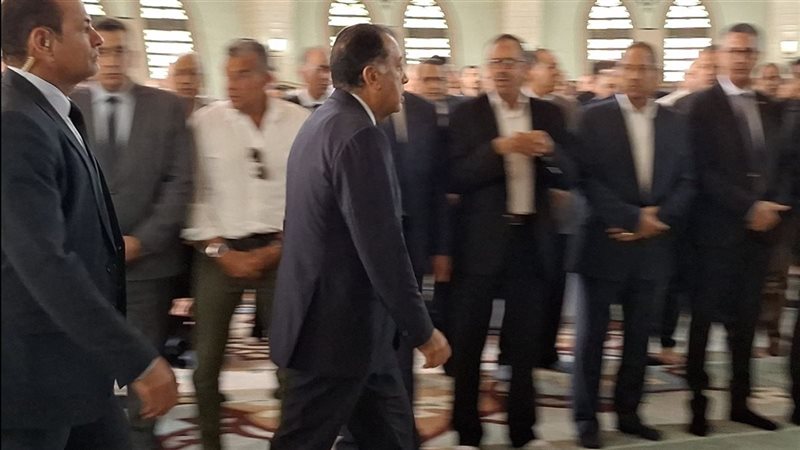 القارئ نيوز