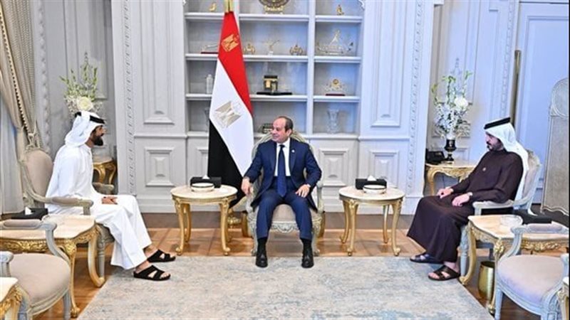 القارئ نيوز