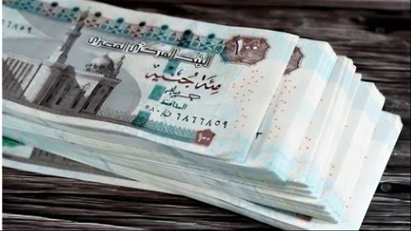 منحة المولد النبوي