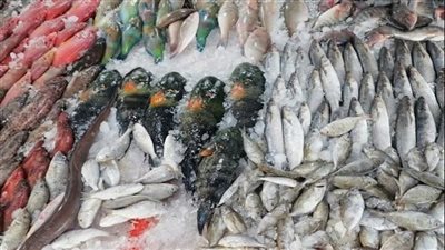 ملحوظ في أسعار الأسماك اليوم الأربعاء 27 أغسطس 2025 بالأسواق المصرية