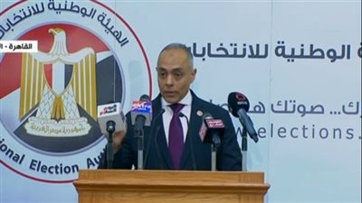 الهيئة الوطنية للانتخابات توضح تفاصيل شكوتين في جولة الإعادة لمجلس الشيوخ