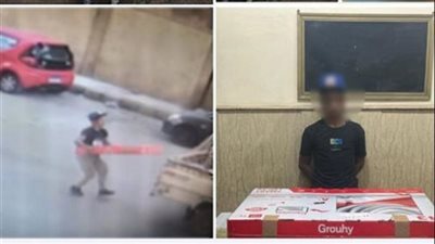 الداخلية تضبط لص سرق شاشة تلفزيون من سيارة ربع نقل بالإسكندرية