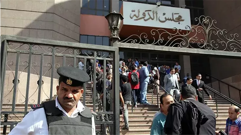 القارئ نيوز