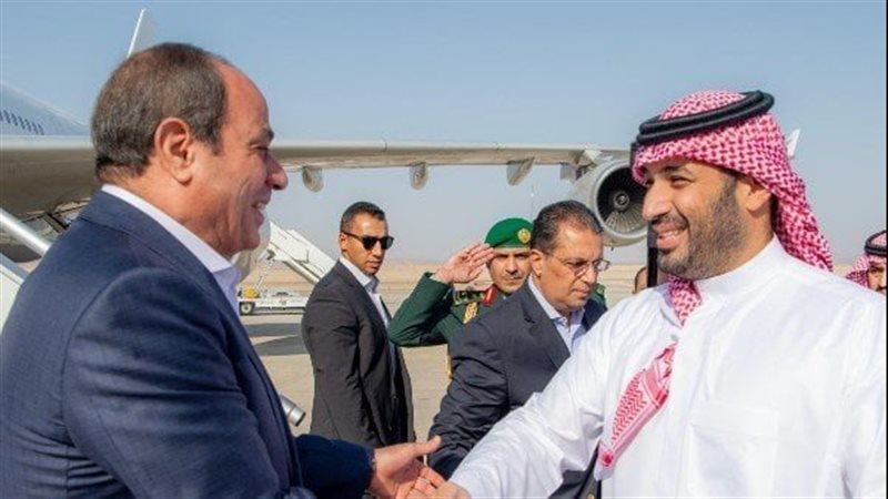 الرئيس السيسي وولي