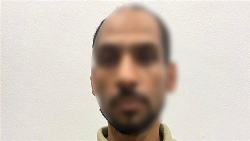 القارئ نيوز