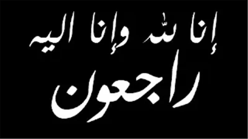القارئ نيوز