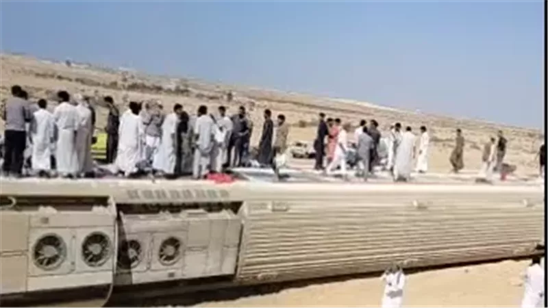 القارئ نيوز