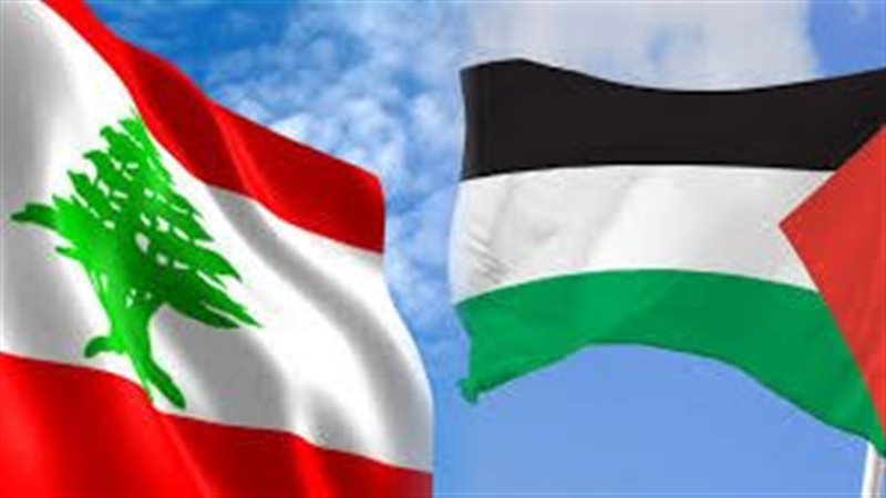 القارئ نيوز