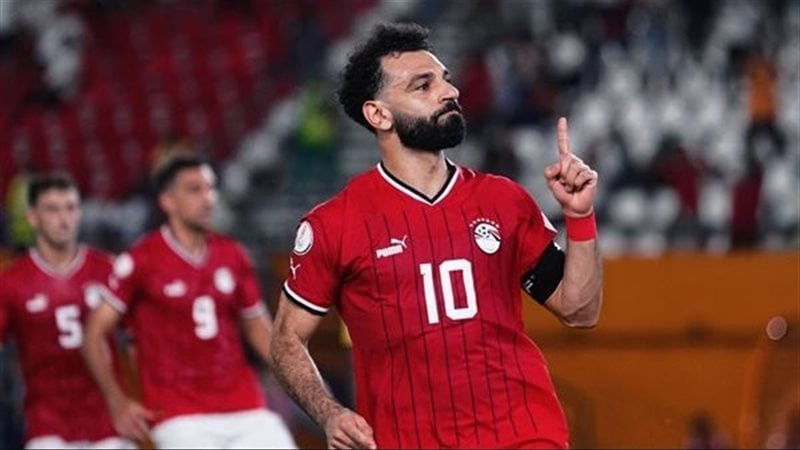 القارئ نيوز