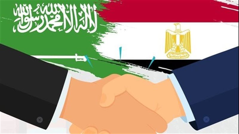 القارئ نيوز