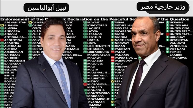 القارئ نيوز