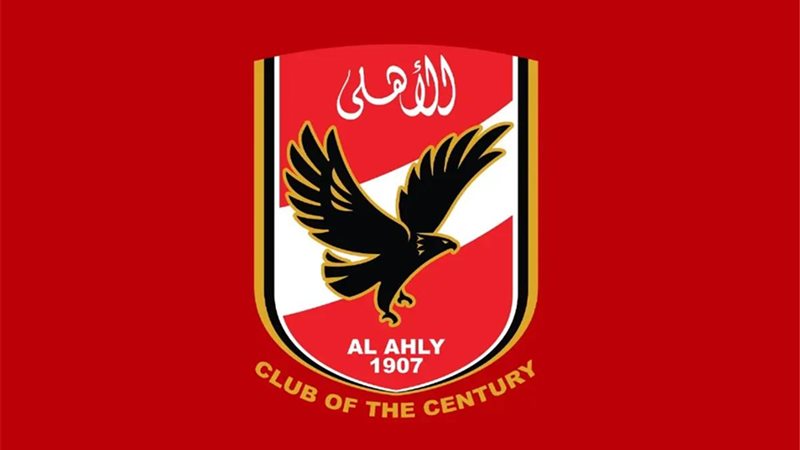 القارئ نيوز