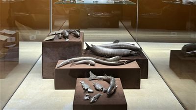 بريق الفضة يستعرض ثمانين قطعة أثرية نادرة بشرم الشيخ