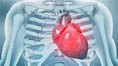 اعتلال القلب.. كيف تكتشف «ضعف عضلة القلب» مبكرا؟